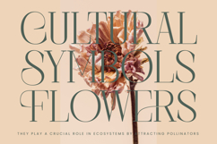 Barely Painter - All Caps Serif Font Product Image 15