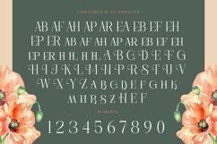 Barely Painter - All Caps Serif Font Product Image 18