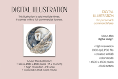 Barn Owl in Moon Circle Illustration Product Image 3
