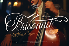 Brisound Product Image 1