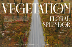 Barstge - Modern Serif Display Product Image 8