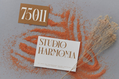 Barstge - Modern Serif Display Product Image 12