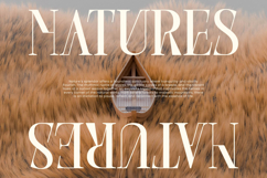 Barstge - Modern Serif Display Product Image 16