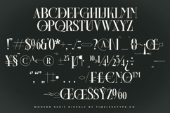 Barstge - Modern Serif Display Product Image 18