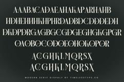 Barstge - Modern Serif Display Product Image 19