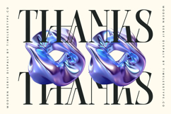 Barstge - Modern Serif Display Product Image 20