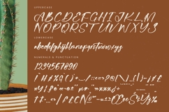 Bartely Cactus - Natural Handwritten Font Product Image 18