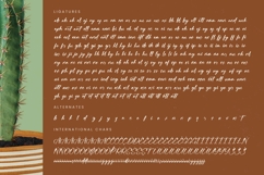 Bartely Cactus - Natural Handwritten Font Product Image 19