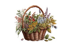 watercolor clipart,digital download,digital clipart,digital crafting,flower bouquet,scrapbook images,wildflowers in vase,watercolor clipart,wall art,vase of flowers,wildflower vase,flower clipart,flower images,wildflower pictures,Basket of Wildflowers   