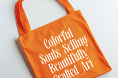 Bastfeng Skylight - Modern Display Serif Font Product Image 2