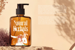 Bastfeng Skylight - Modern Display Serif Font Product Image 4