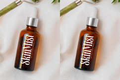 Bastfeng Skylight - Modern Display Serif Font Product Image 5