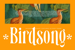 Bastfeng Skylight - Modern Display Serif Font Product Image 8