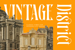 Bastfeng Skylight - Modern Display Serif Font Product Image 9