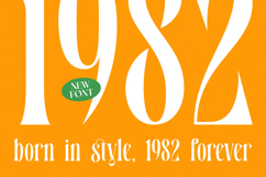 Bastfeng Skylight - Modern Display Serif Font Product Image 11