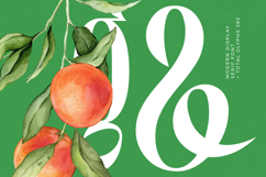 Bastfeng Skylight - Modern Display Serif Font Product Image 13