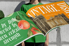 Bastfeng Skylight - Modern Display Serif Font Product Image 17