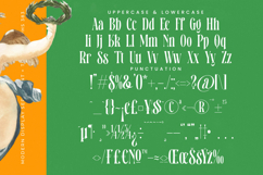 Bastfeng Skylight - Modern Display Serif Font Product Image 18