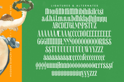 Bastfeng Skylight - Modern Display Serif Font Product Image 19