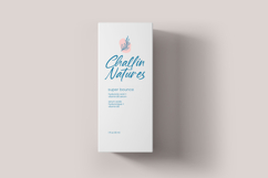 Baterty Spotteam Elegant Brush Font Type Product Image 15