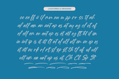 Baterty Spotteam Elegant Brush Font Type Product Image 18