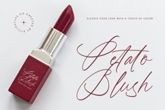 Battler Knight - Stylish Signature Font Product Image 2