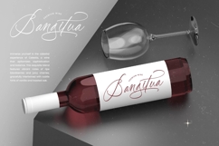 Battler Knight - Stylish Signature Font Product Image 5