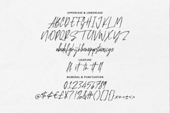 Battosain Signature Modern Handcrafted Script Font Product Image 5