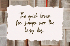 Batty Chips Handwritten Signature Font Product Image 2