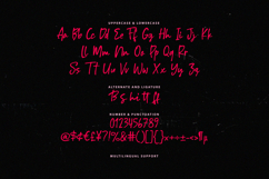 Batty Chips Handwritten Signature Font Product Image 6