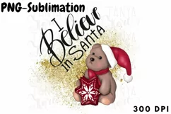 I Believe In Santa | Sublimation Png Product Image 1