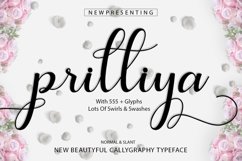 Web Font Prilliya Script Product Image 1