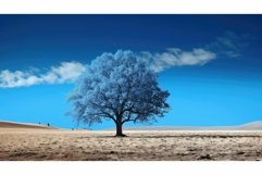 vibrant blue trees Product Image 1