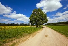 the rural road Product Image 1