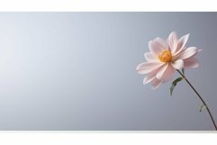 delicate gray photography background Product Image 1