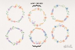 Birds Flower 6 Wreaths Watercolor Florals Spring Easter Product Image 4