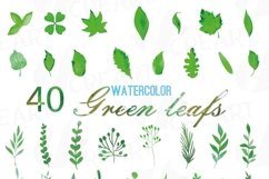 Green leaves and branches watercolor clip art pack, hand painted leafs collection. PNG, jpg, svg, vector illustrator &amp; corel files included Product Image 1