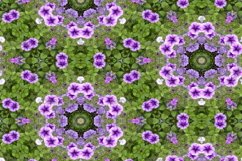 12 abstract Seamless colorful FLOWER patterns pack. Product Image 12