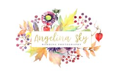 LOGO with asters, maple leaves and physalis Watercolor png Product Image 4