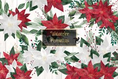 Watercolor Poinsettias Clip Art Product Image 1
