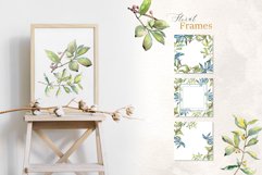 Elaeagnus leaves Watercolor png Product Image 5