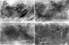 50 Abstract Black Background Product Image 11