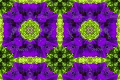 12 abstract Seamless colorful FLOWER patterns pack. Product Image 5