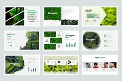 Rompies Powerpoint Presentation Product Image 3