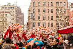 14 Photos of Lunar New Year Festival Product Image 13
