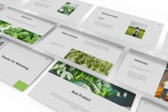 Vegetables Keynote Template Product Image 7