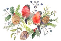 Christmas bouquet with bullfinch Watercolor png Product Image 1