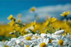 White pills resting on a bed of chamomile flowers in a field Product Image 1