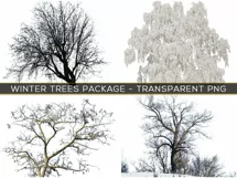 30 SNOW TREES TRANSPARENT PNG FILES, PHOTOSHOP OVERLAYS Product Image 5