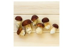 Porcini mushrooms on a wooden background Product Image 1